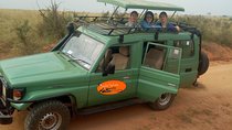 12 Days Memorable Experience tour in Uganda