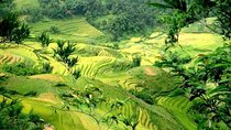 Sapa 2 Days 1 Night From Hanoi by Limousine - Overnight in Hotel