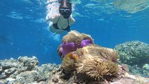 Nusa Penida Island Tour Package With Snorkeling