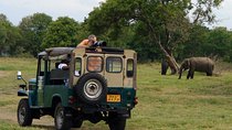 Animal Kingdom - UDAWALAWE Day Tour