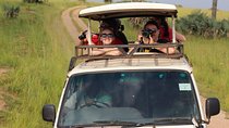 7-Day Uganda Adventure Safari - Midrange Lodges