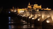 Trip from Malaga to Cordoba visiting the Mosque.