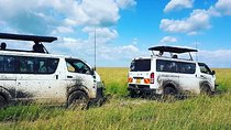 Maasai Mara Safari!!