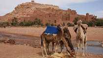 Ouarzazate & Ait Ben Haddou Private Day Trip from Marrakech