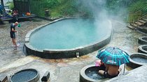 Hot Spring and Waterfall Day Tour 