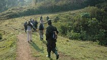 14 Day Uganda & Rwanda Primate Tour (Midrange Tour)