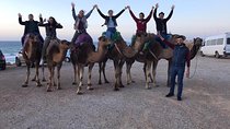 Tangier private tour & Camel ride (sightseeing & Walking Tour)