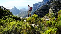 Tranquility Cracks Private Hike on Table Mountain's 12 Apostles