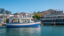 Half Hour Seal and Harbour Cruise from Cape Town