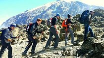 Mt. Kilimanjaro Climb, 7 Days Machame route