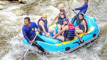 Whitewater Rafting, ATV Adventure and Zipline Experience From Phuket