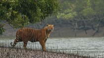 Explore North East Himalaya, Tiger Reserve and Tribal Village