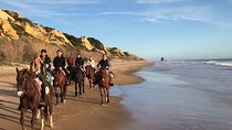 Horseback riding tour of Doñana and visit of El Rocio