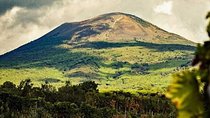 From Naples: Mt. Vesuvius with wine tasting
