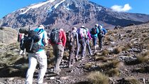 8 Days Lemosho Route Kilimanjaro Trekking