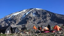 7 Days Machame Route Kilimanjaro Trekking