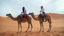  Zagora—Sahara Desert | 2 days & 1 night 