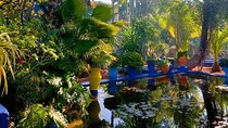 Majorelle and Menara Gardens with Palmeraie Camel Riding Marrakech