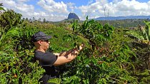 Guatapé & Coffee farm, all in one day