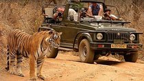 Private Delhi Taj Mahal Agra With Ranthambore Jungle Safari Tour