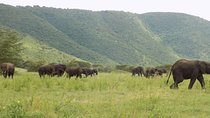 6 Days Tanzania Wildlife Safari Tour