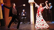 Flamenco Show "Museo de Baile Flamenco"
