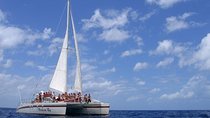 Pura Vida Sailing Catamaran Adventure From Guanacaste