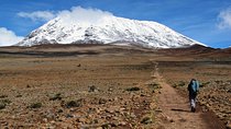 5 Days Marangu Route Kilimanjaro Trekking