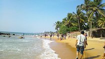 Day Tour to Negombo from Kandy by Lux Tours Lanka