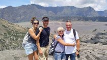 Amazing Bromo One Day Tour from Surabaya Port