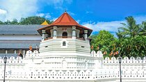 Kandy City Tour by Lux Tours Lanka