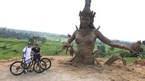 Jatiluwih to the Sea – Cycling from UNESCO Rice Terraces to Coast