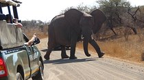 7 Day Classic Kruger National Park Safari
