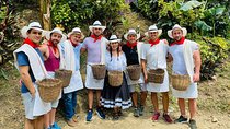 Medellin Coffee Tour with transfer