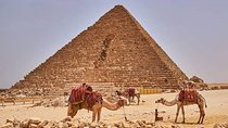 Private Full Day Tour in Giza Pyramids, Sphinx ,Memfis ,Saqqara & lunch 