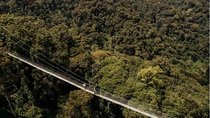 1 Day Canopy Walk Adventure in Nyungwe Forest National Park