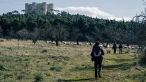 Castel del Monte: excursion in the Alta Murgia National Park