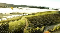 [PRIVATE TOUR] Mount Dandenong and Yarra Valley Winery Tour