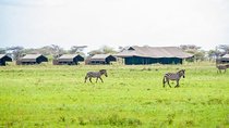  3 Days Wild Wonders of Serengeti & Ngorongoro Budget Safari