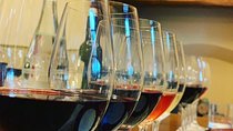 Guided Winery Tour with Top Tastings & Lunch in Bolgheri with Local Wine Guide