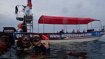 One-Day Diving Mini Course - Discover Scuba Diving