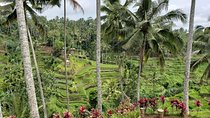 Ubud Private Tour – Best Full-Day All-Inclusive Package