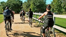 Town Lake Trail Bike Tour in Austin