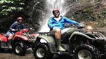 Ubud ATV Quad Bike, Monkey Forest and Rice Terrace 