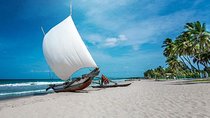 Negombo City And Fishing Village Private Day Tour From Colombo