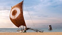 Negombo City And Fishing Village Private Day Tour