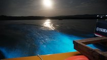 Luminous Lagoon "Glistening Waters" tour from Montego Bay Hotels