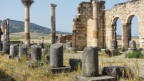 Volubils- Moulay Idriss- Meknès DayTrip On Your Own From Fez With Driver and car