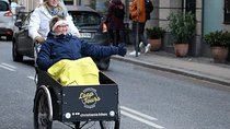 Private Copenhagen Family Cargo Bike Tour – Winter Adventure