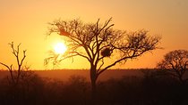 3 Day Kruger National Park tour